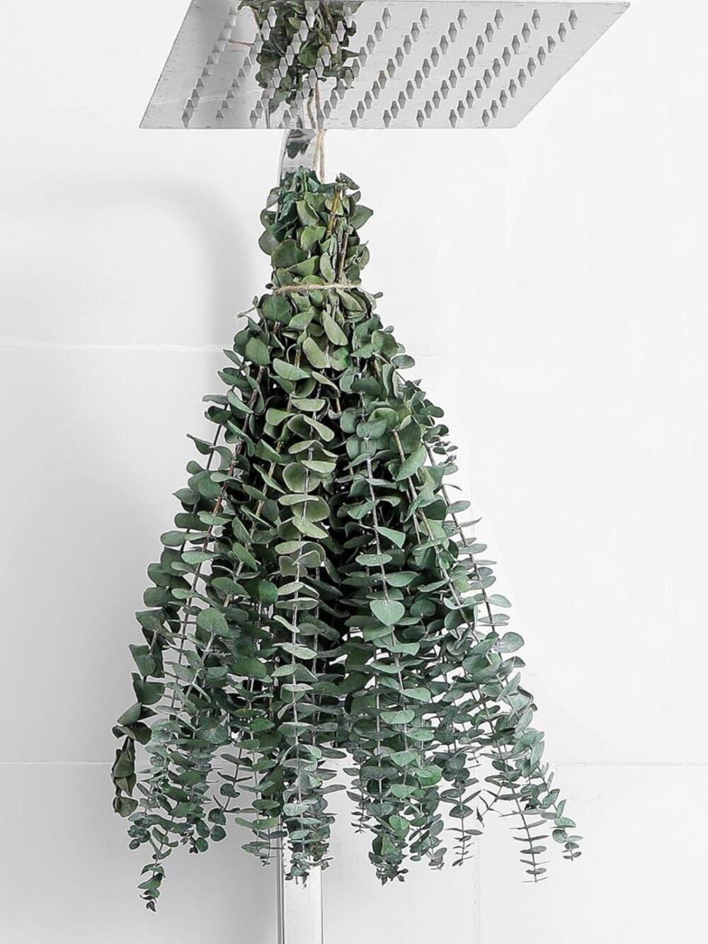 10 Pcs Dried Eucalyptus Stems 17" Real Eucalyptus for Shower Hanging DIY Decor